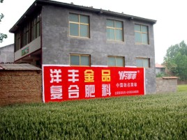 金沙如何让墙体广告展现最大化效果