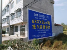 金沙墙体广告质量分析