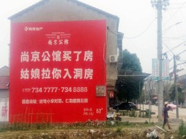 金沙墙体广告在乡镇、农村市场的媒体优势