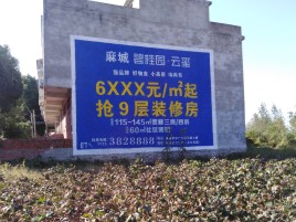 金沙品牌公司青睐的墙体广告
