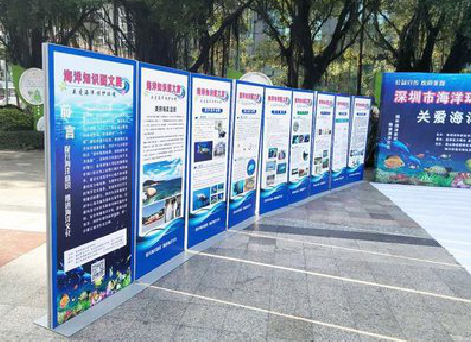 金沙KT板的种类和知识。